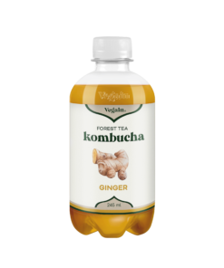 Forest Tea Kombucha : Ginger