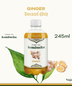 Forest Tea Kombucha : Ginger